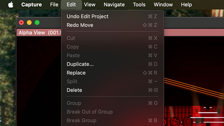 Descriptive Undo/Redo Commands.